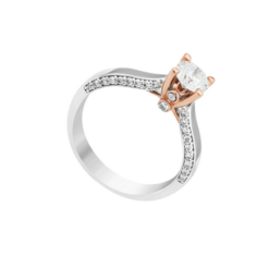 Nhẫn Kim cương Vàng trắng 14K PNJ DDDDH000204