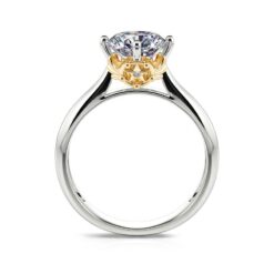 Jeulia "Choose Your Role of Magic" Round Cut Sterling Silver Ring